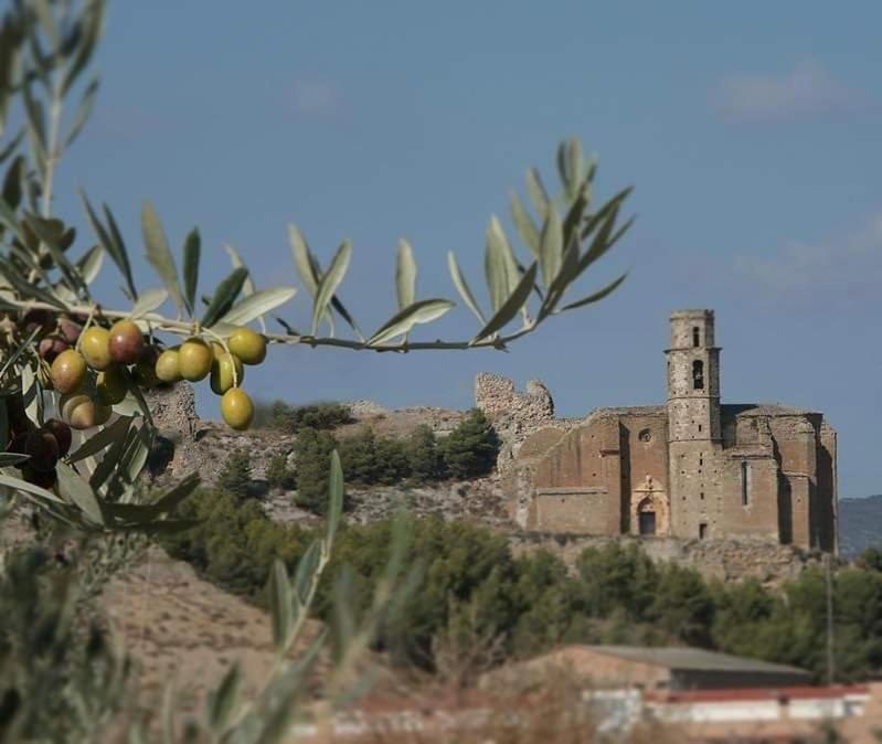 Villa Loft Castello Castello de Farfana Esterno foto